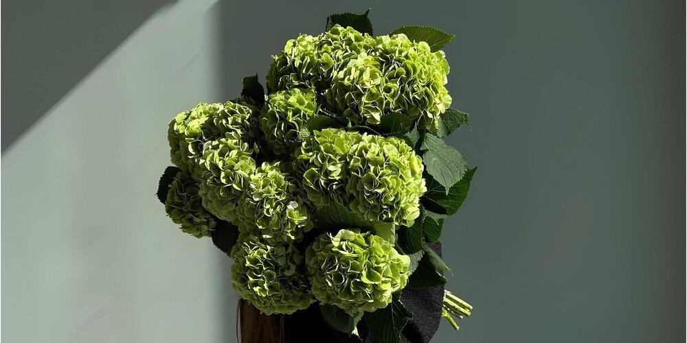 Как никогда больше не забывать о важных датах: секрет Miracle Flowers