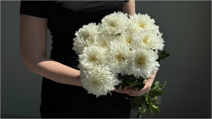 Как никогда больше не забывать о важных датах: секрет Miracle Flowers